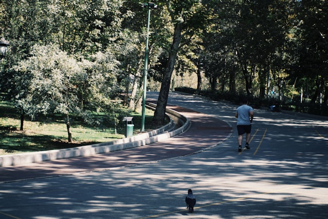 Kartramtoria inspiráció